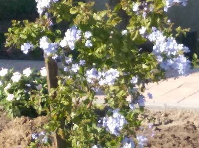 Casa Beata בית נופש Lesencetomaj